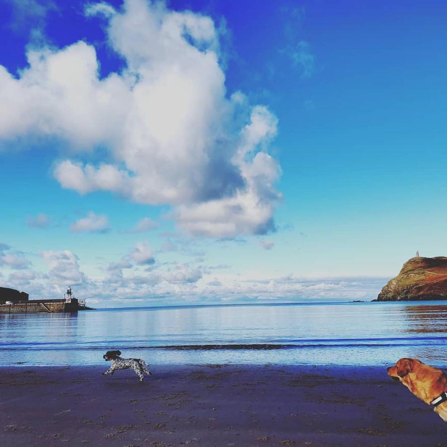 Gorgeous Cottage By Sandy Beach Dog Friendly Port Erin Kültér fotó